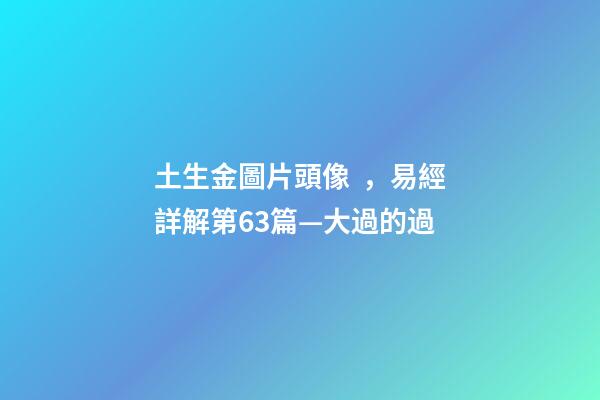土生金圖片頭像，易經詳解第63篇—大過的過